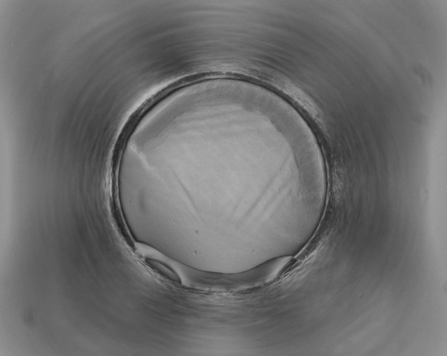 X0000112971028200909171314