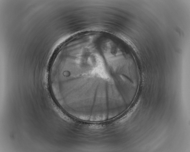 X0000112971029200909171314