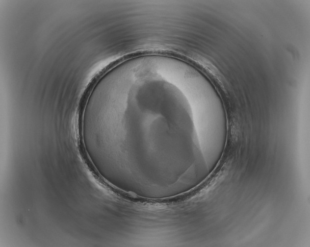 X0000112971030200909171314