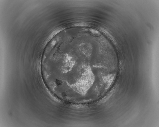 X0000112971033200909171314