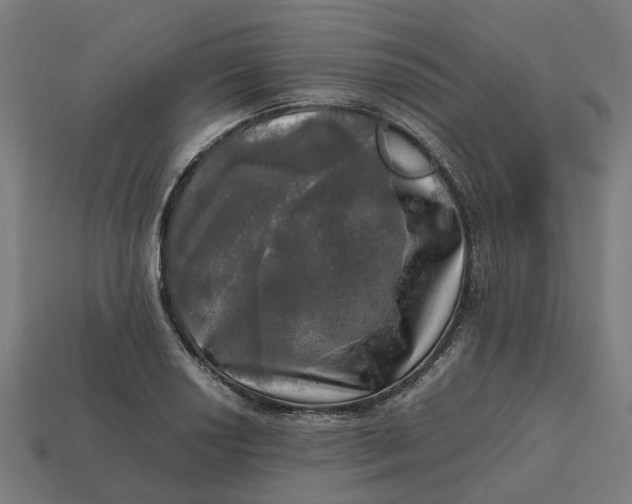 X0000112971034200909171314