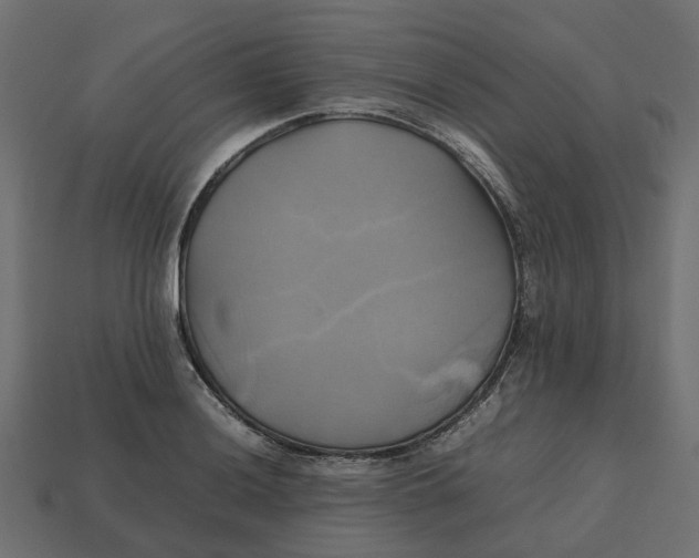 X0000112971036200909171314