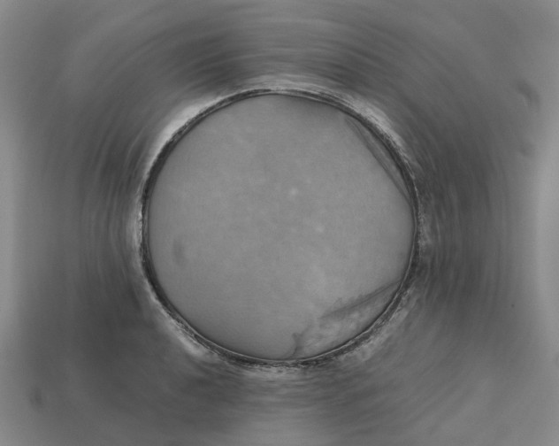 X0000112971040200909171314