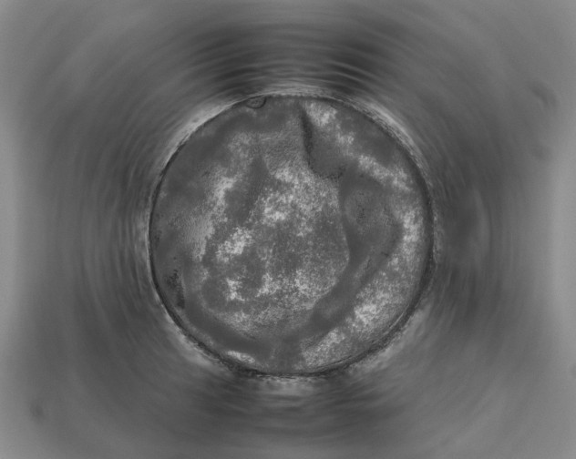 X0000112971041200909171314