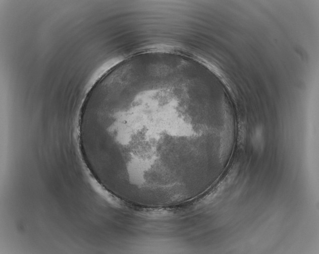 X0000112971042200909171314