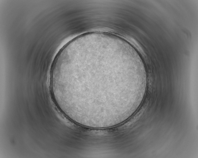 X0000112971044200909171314