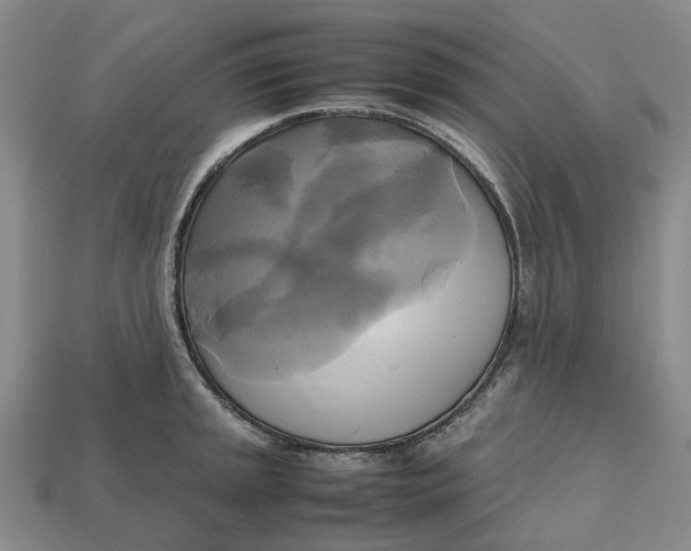 X0000112971045200909171314