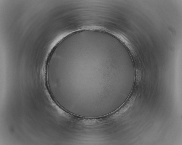 X0000112971046200909171314