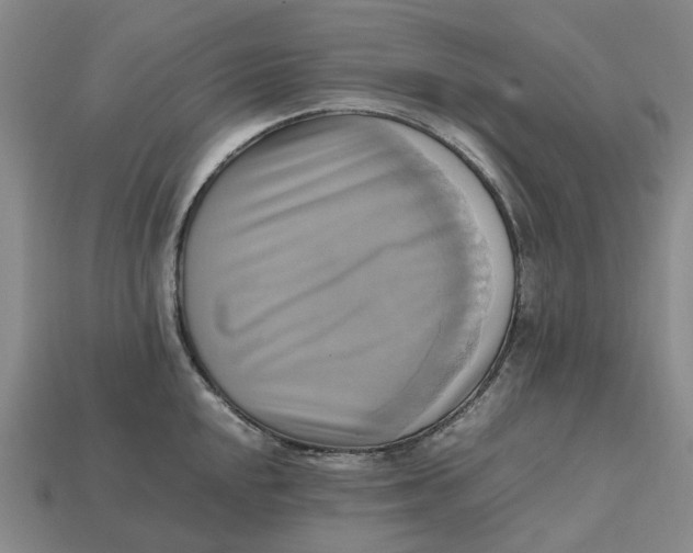 X0000112971048200909171314