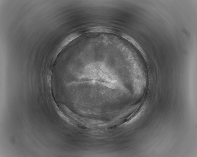 X0000112971049200909171314