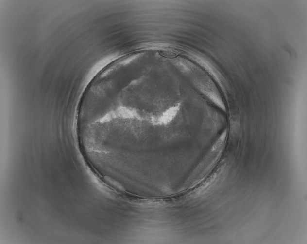 X0000112971050200909171314