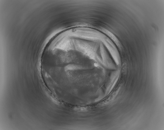 X0000112971051200909171314