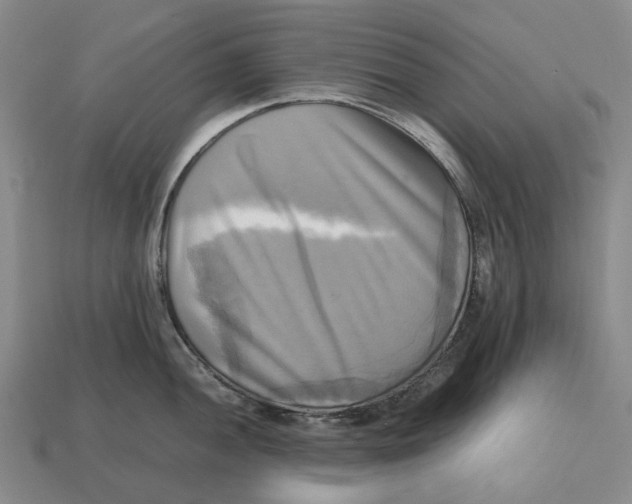 X0000112971052200909171314