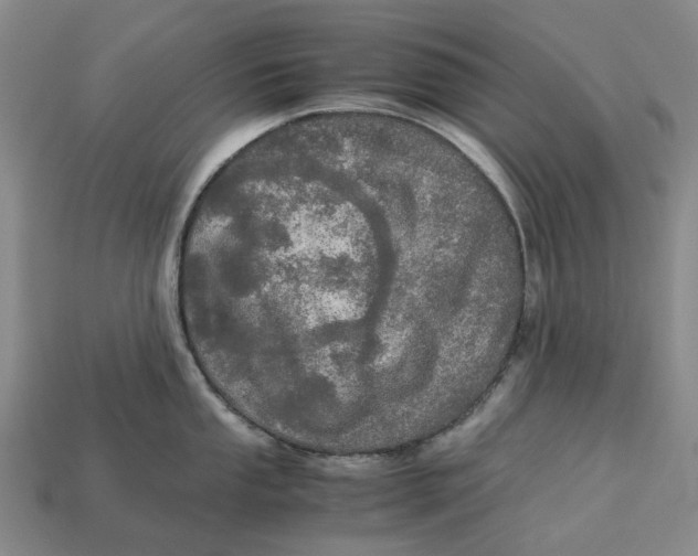 X0000112971053200909171314