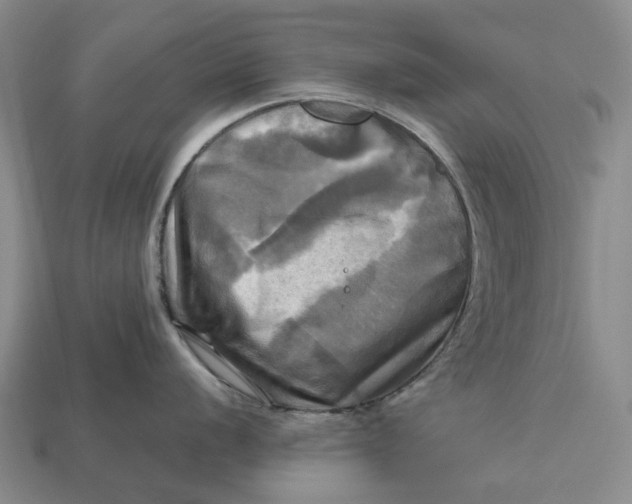 X0000112971056200909171314