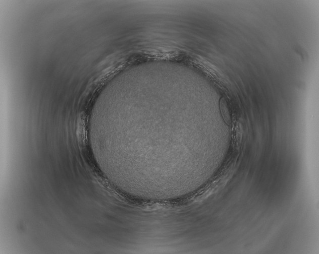 X0000112971058200909171313