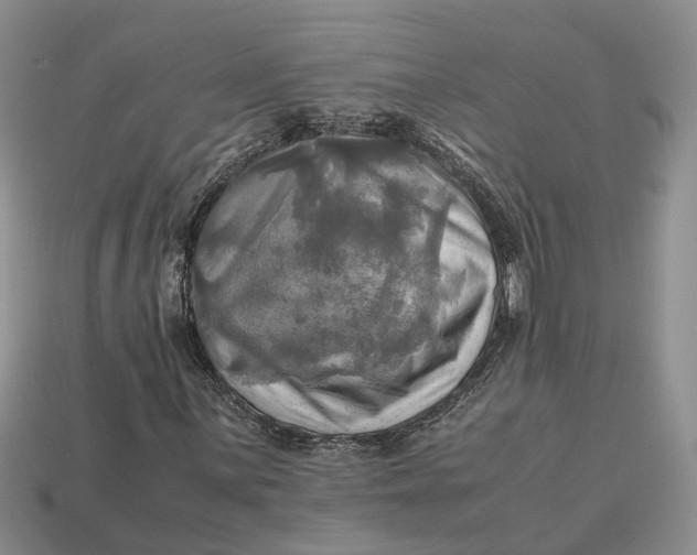 X0000112971059200909171313