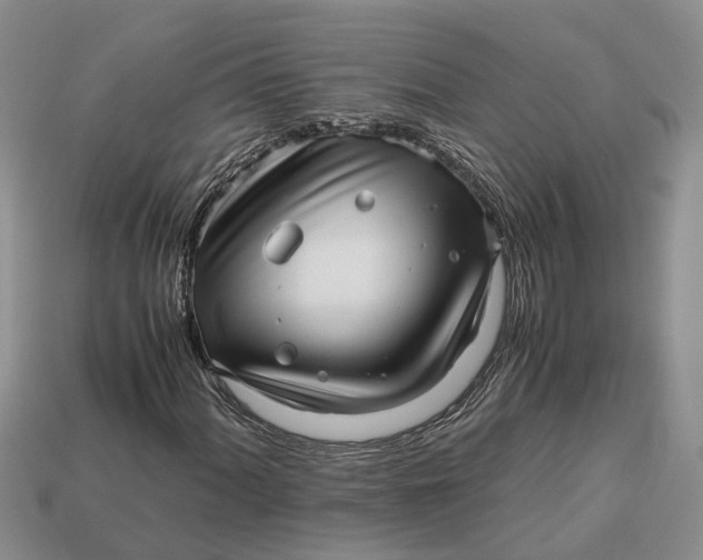 X0000112971060200909171313