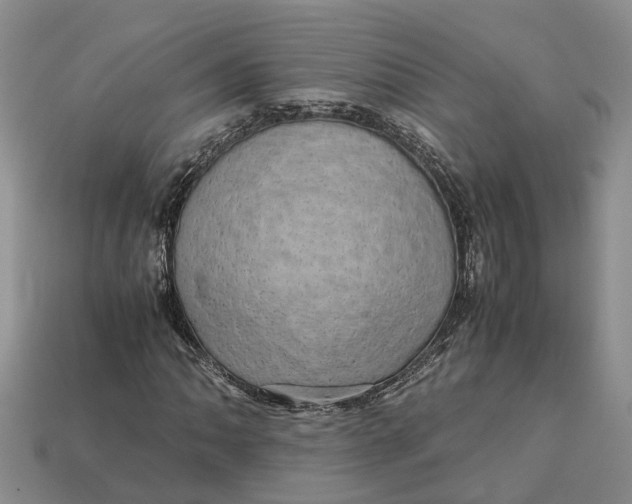 X0000112971062200909171313