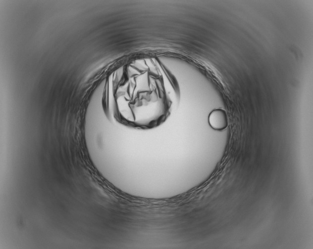 X0000112971064200909171313