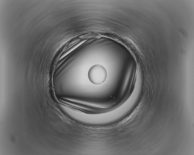 X0000112971065200909171313