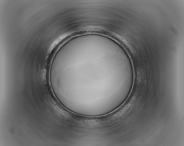 X0000112971066200909171313