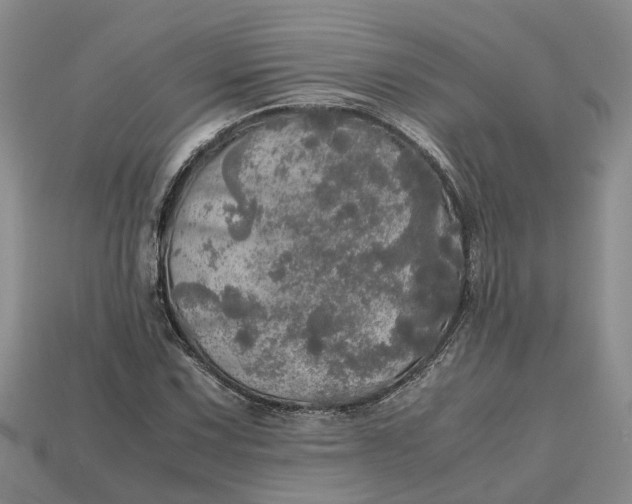 X0000112971067200909171313