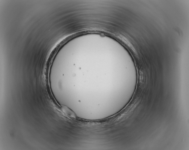 X0000112971068200909171313