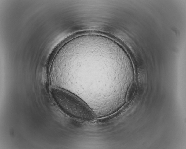 X0000112971069200909171313