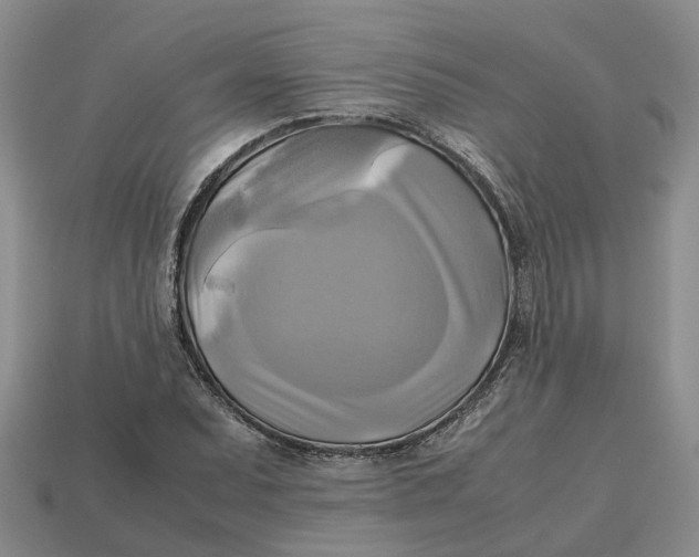 X0000112971071200909171313