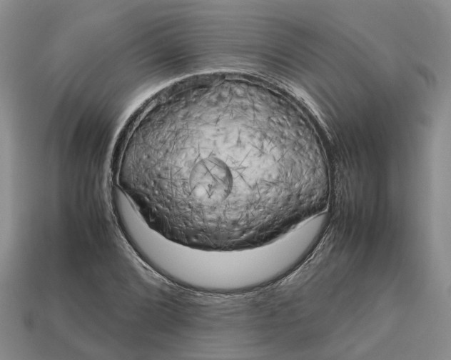 X0000112971072200909171313