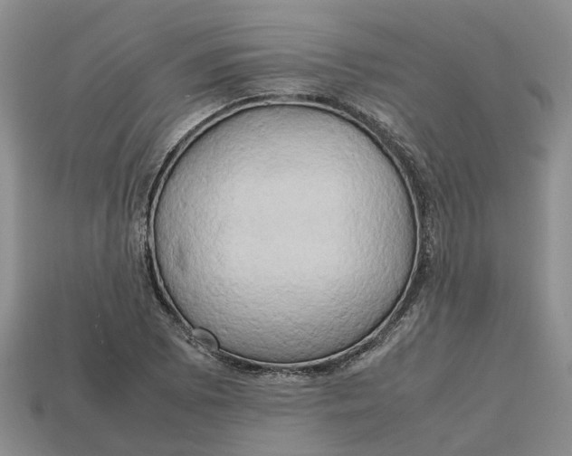 X0000112971073200909171313