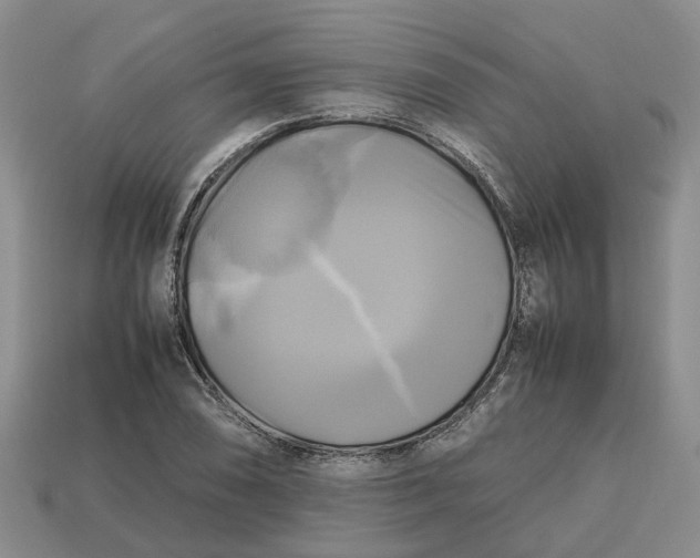 X0000112971074200909171313