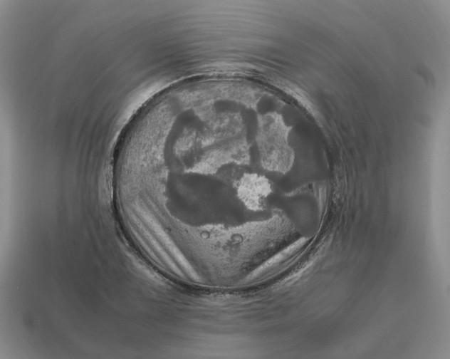 X0000112971075200909171313