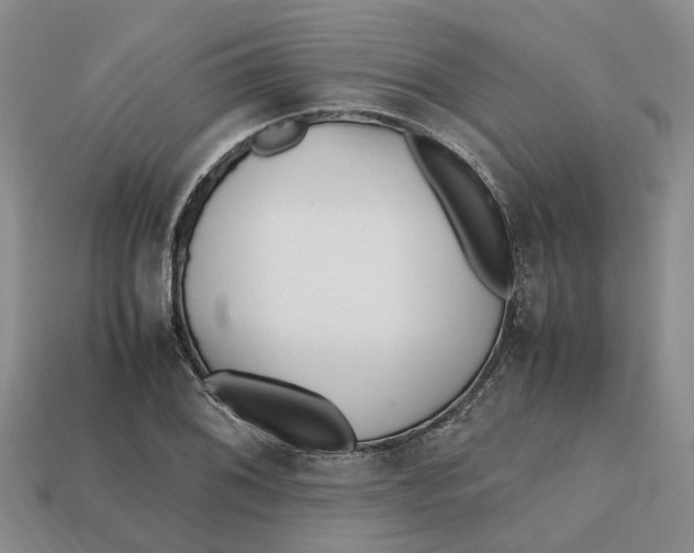 X0000112971076200909171313