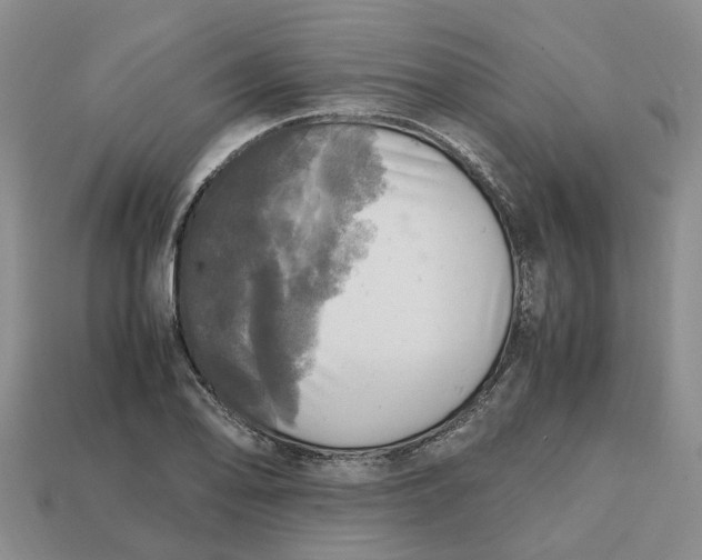 X0000112971078200909171313