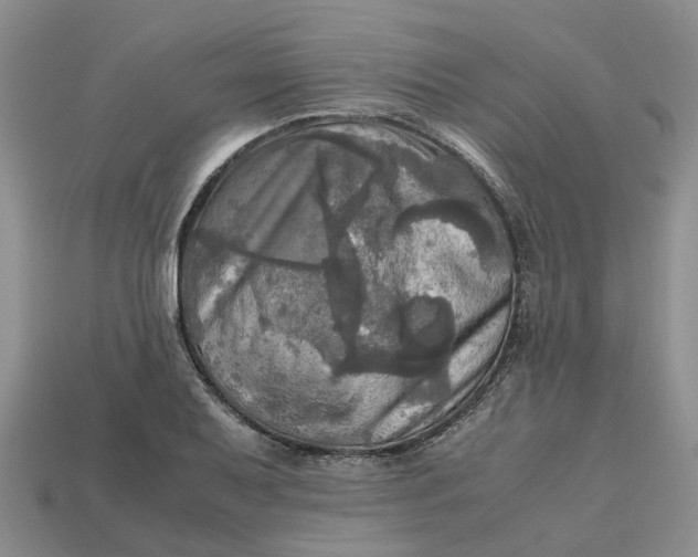 X0000112971079200909171313