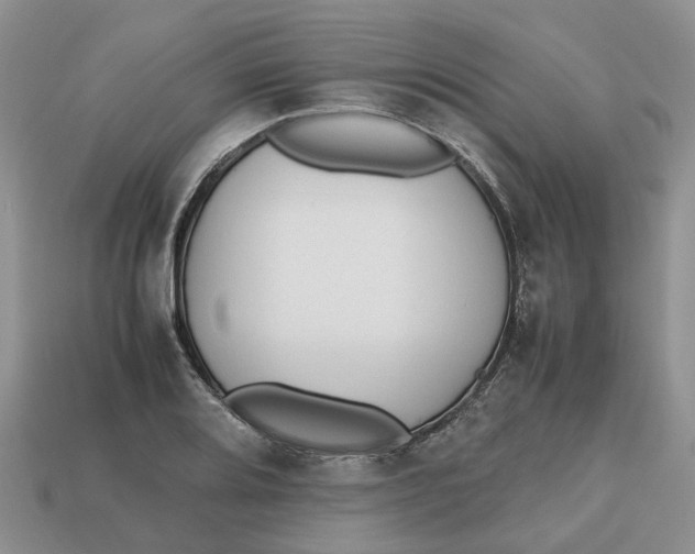 X0000112971080200909171313