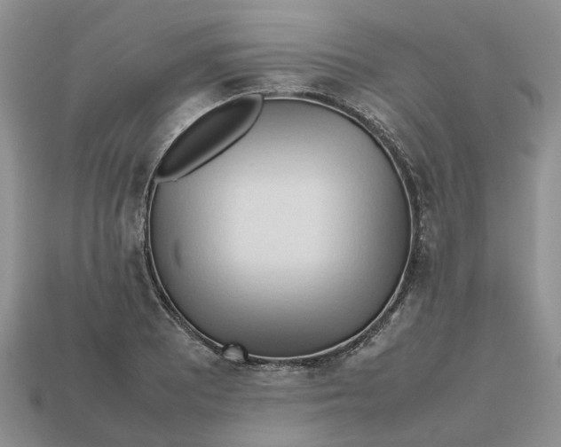 X0000112971081200909171313