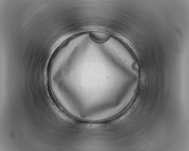 X0000112971082200909171313