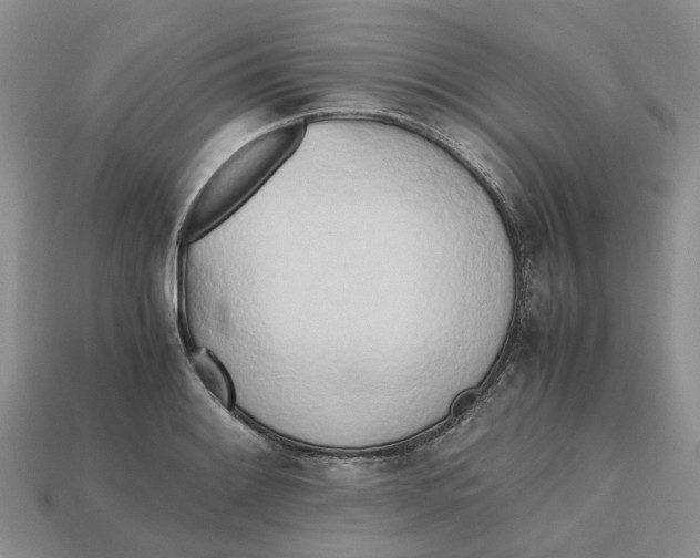 X0000112971084200909171313