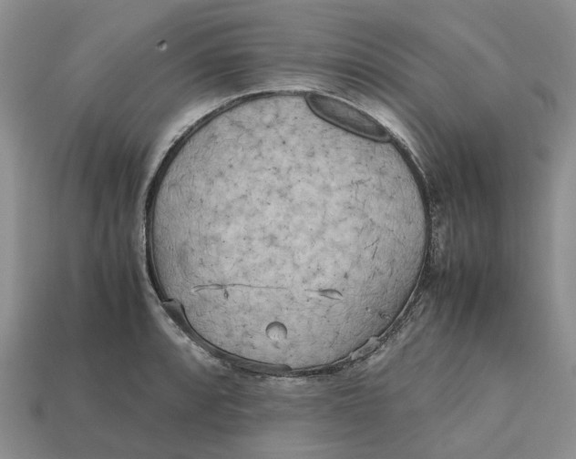 X0000112971088200909171313