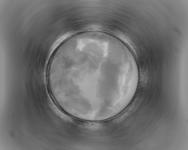 X0000112971090200909171313