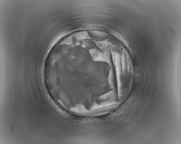 X0000112971091200909171313