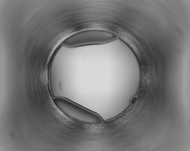 X0000112971092200909171313