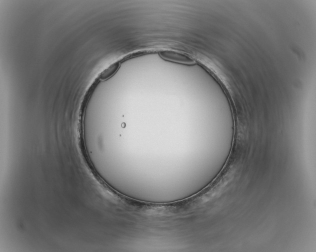 X0000112971093200909171313