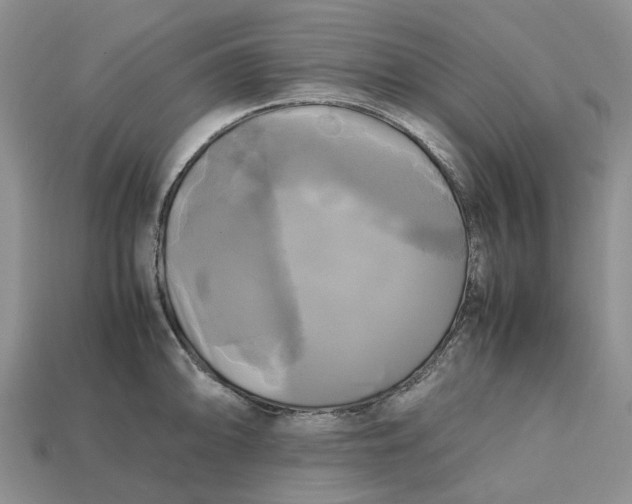 X0000112971094200909171313