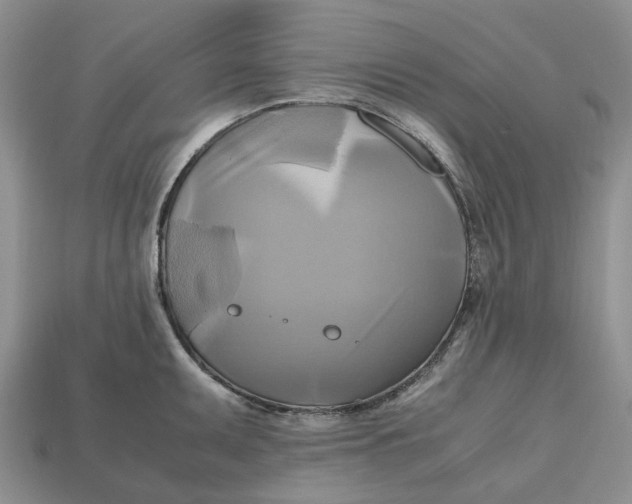 X0000112971095200909171313