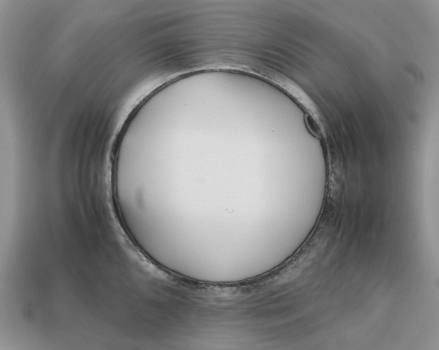 X0000112971096200909171313