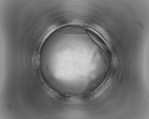 X0000112971097200909171313